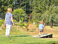 Playing cornhole in the vineyard