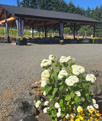 Our outdoor pavilion with flowers